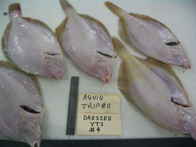 1526265421681060.jpg 20110322140407172.jpg